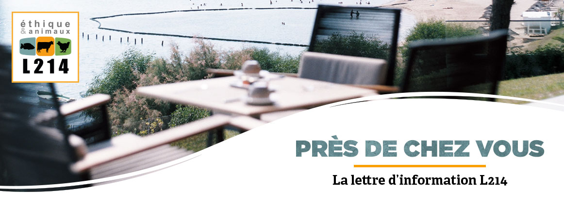 Lettre d'info L214